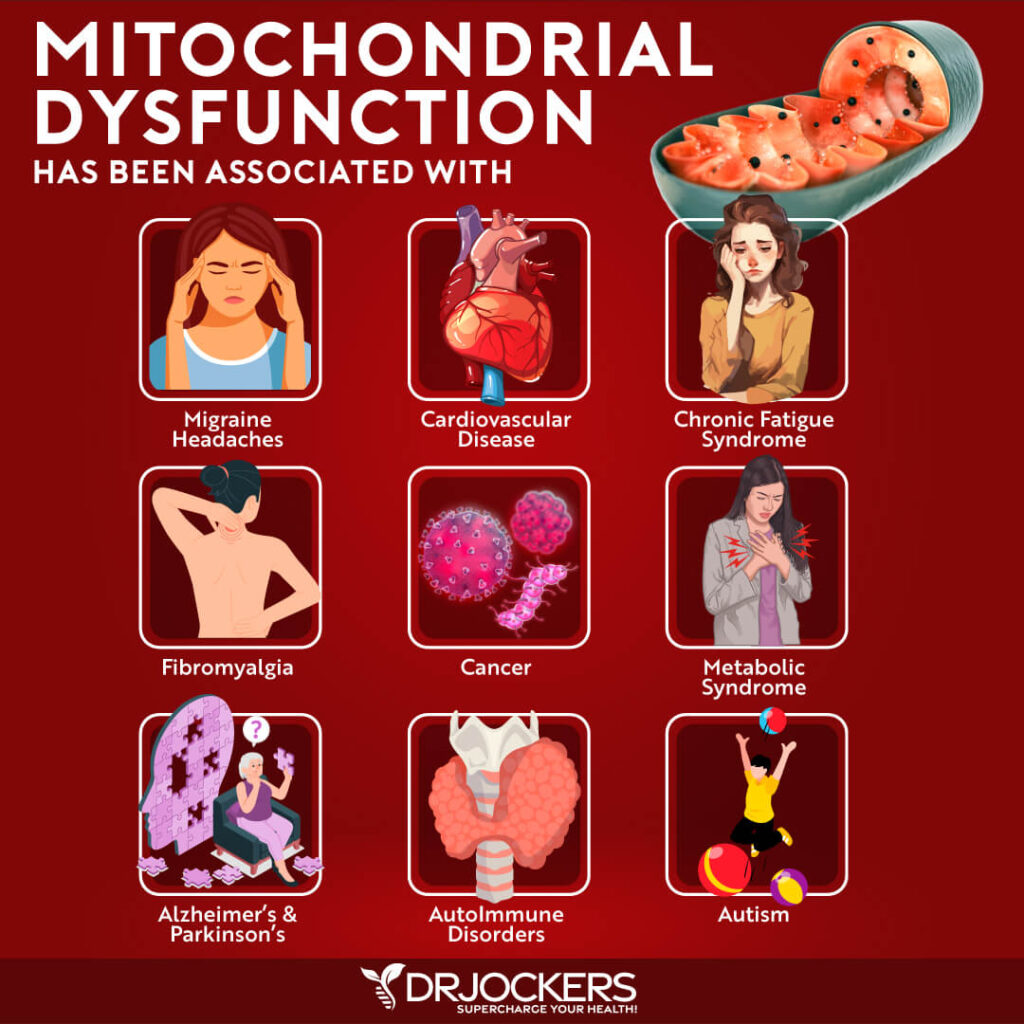 Common symptoms of mitochondrial dysfunction
